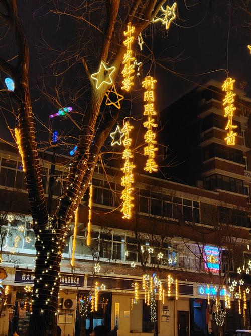 郑州夜韵网论坛图标