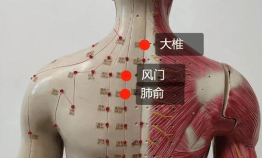 后背受风一般几天能好