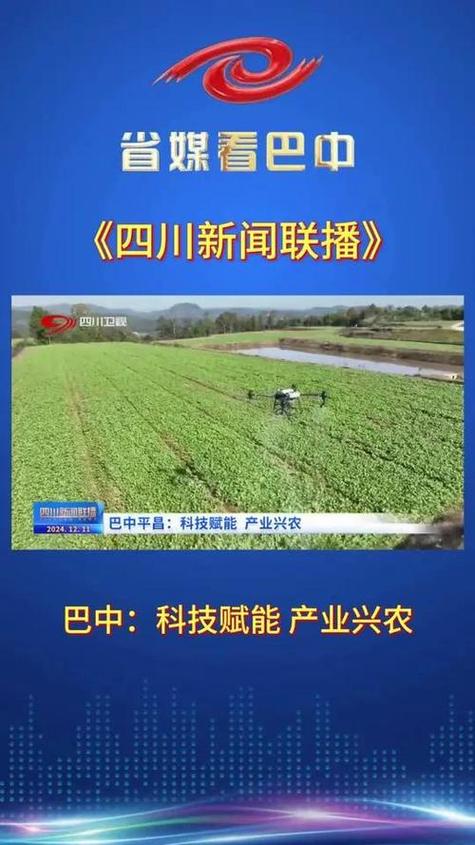 巴中电视台新闻联播