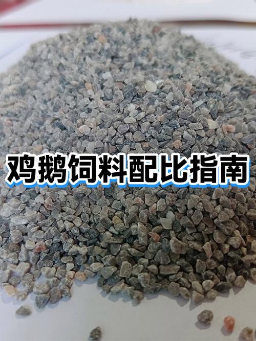鹅的营养价值高还是鸡的营养价值高游戏截图