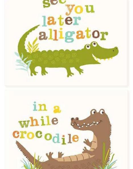 alligator怎么读