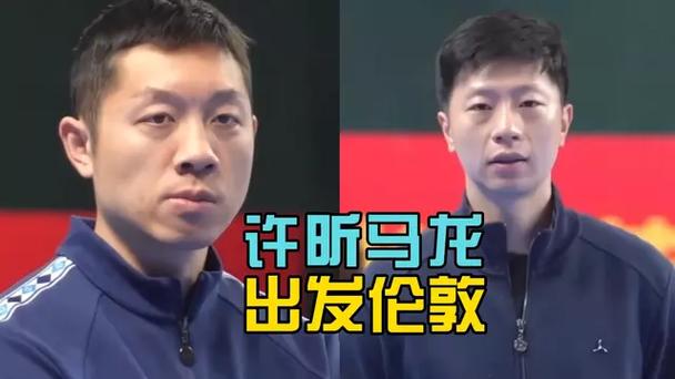 马龙许昕自费飞赴伦敦