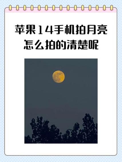 为什么苹果14拍照模糊不聚焦