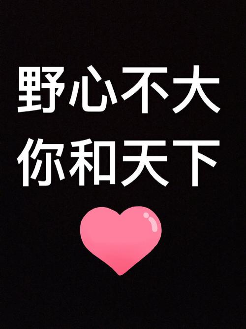 野心不大你和天下表情包
