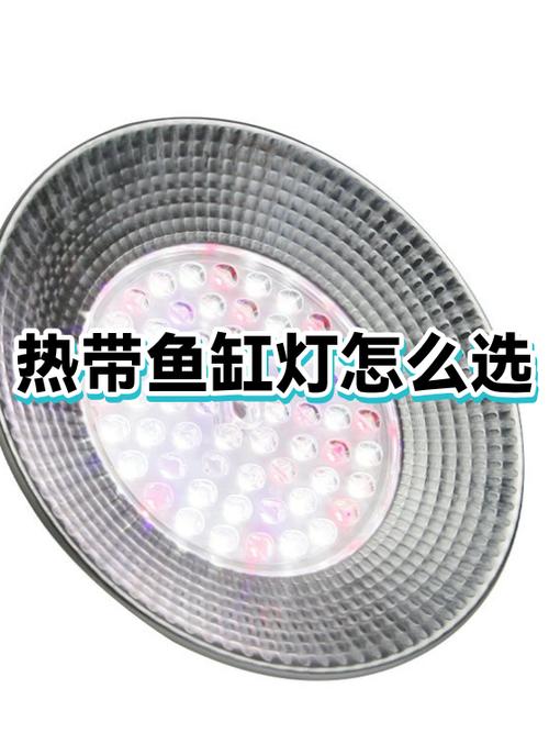 鱼缸灯有必要买吗