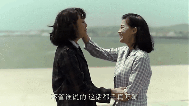 父母爱情中安欣一家怎么了