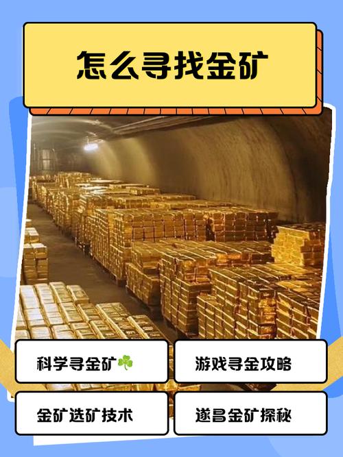 小金矿app有风险吗