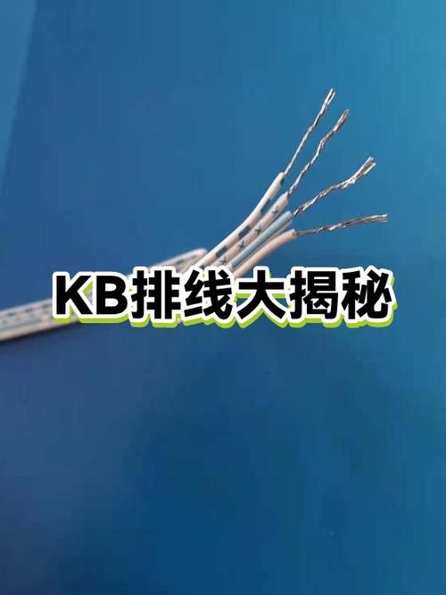 插排线最短的多长