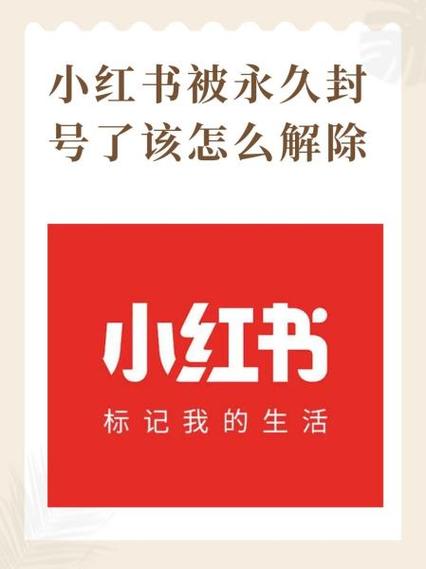 小红书怎么申诉才能成功缩略图