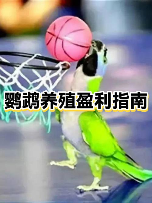 养殖鹦鹉的利润