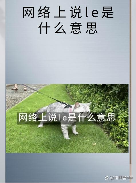 女生说的le是什么意思图标