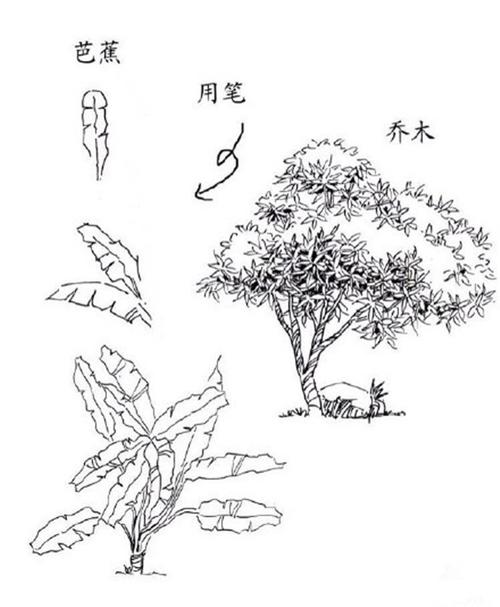 钢笔画一般人可以学吗