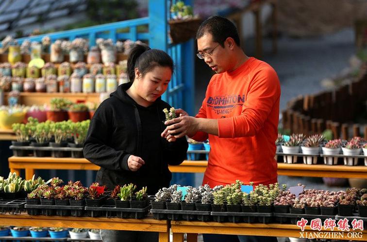 养花赚钱游戏截图