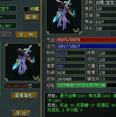 问道为什么带剑魂的少