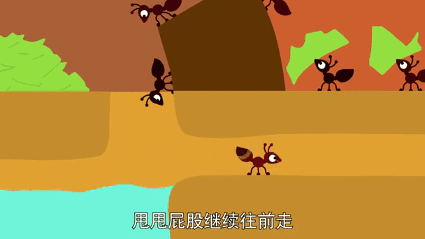 蚂蚁是什么数字代表
