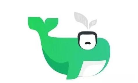 小绿鲸app下载安卓