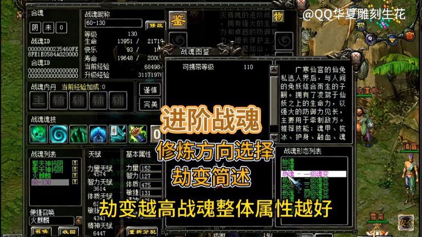 qq华夏鱼的修为