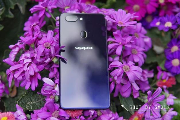 oppor15紫色