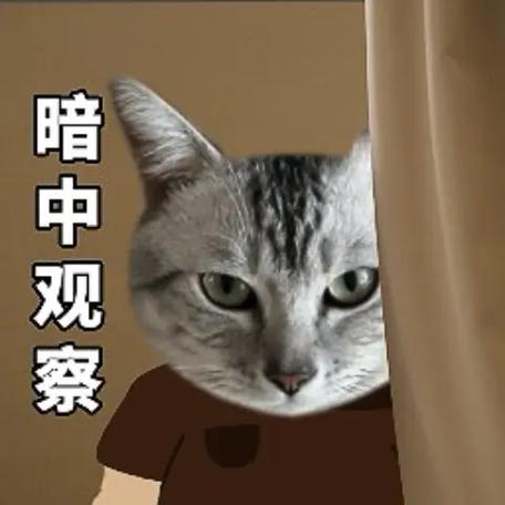 我家猫说是演的表情包截图