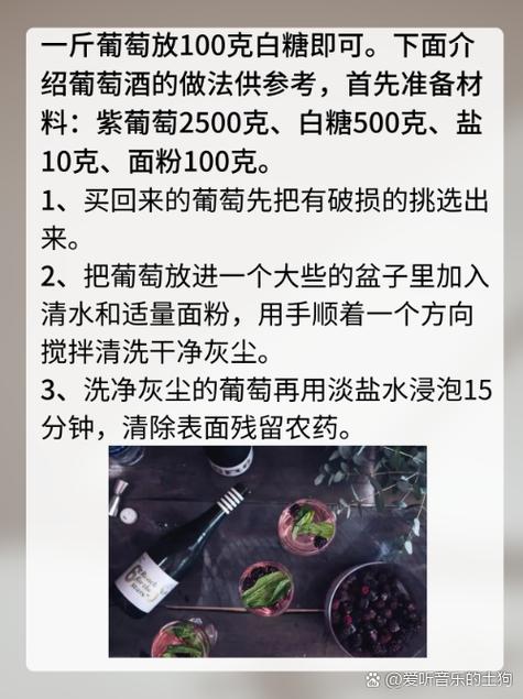 灾厄葡萄酒怎么做图标