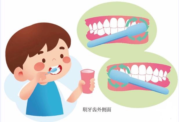 牙齿怎么刷才干净