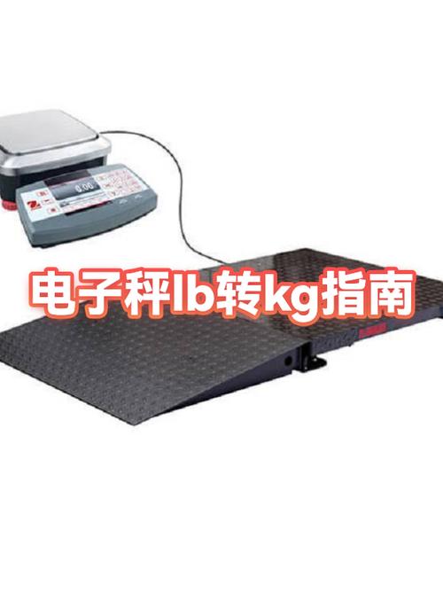 电子秤是公斤还是斤游戏截图