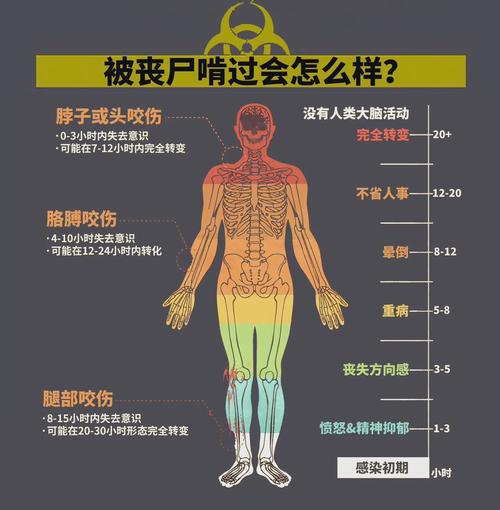 我被丧尸咬了笔趣阁寒夜