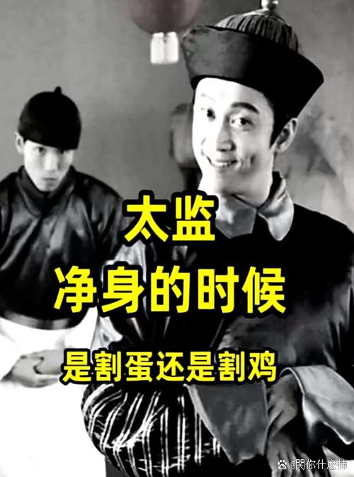 太监割鸡还是蛋图标
