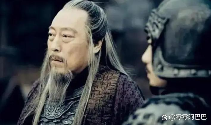 司马懿被抹布后主要内容50字