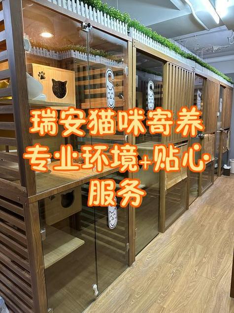 寄养猫咪20一天贵吗