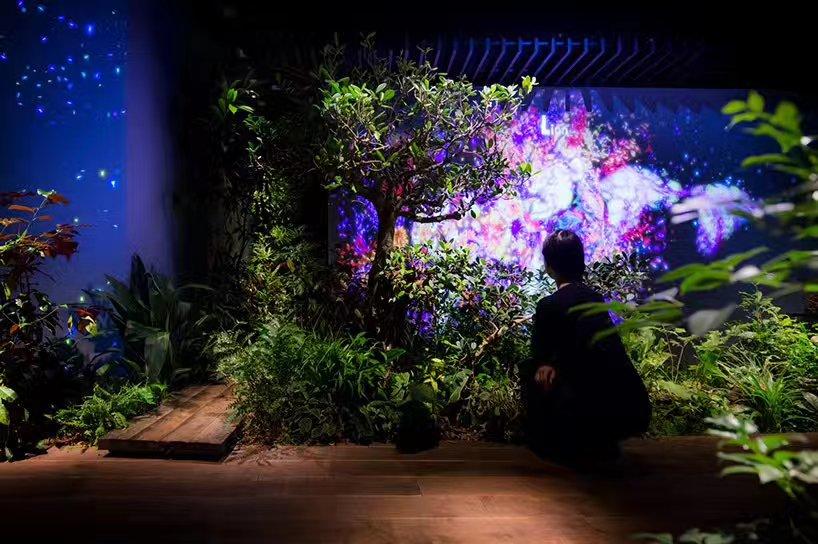 投影的背后能放花吗