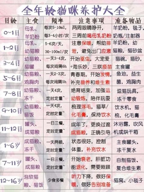 四个月猫咪喂养方法