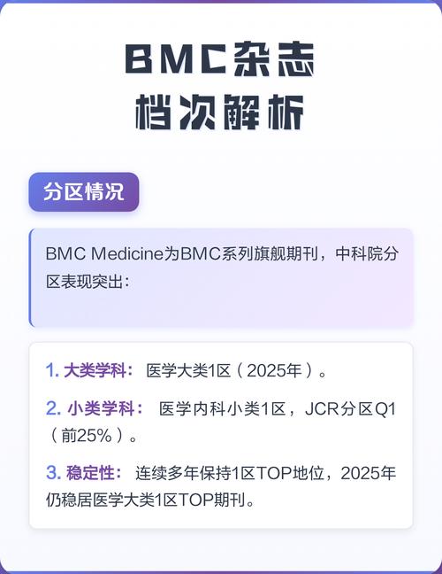 bmc属于什么档次