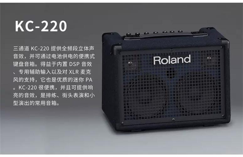 罗兰音箱图片大全