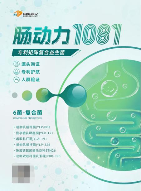 肠动力不足的原因