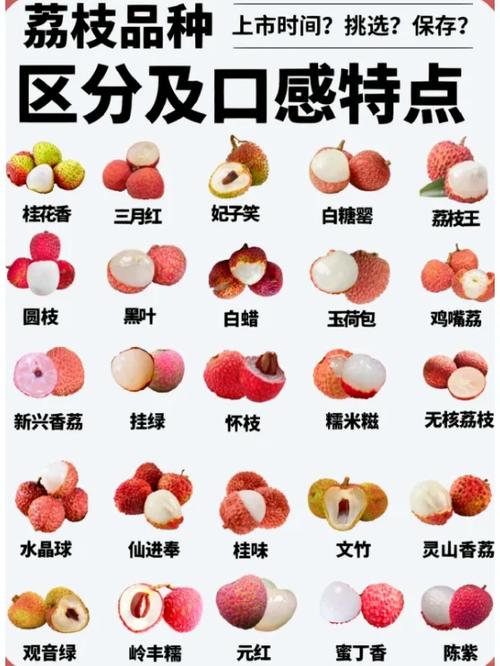 荔枝音频保存在哪里