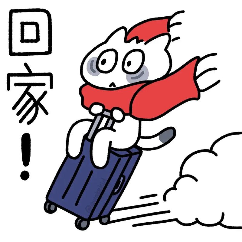 平安回家可以两个人登录吗