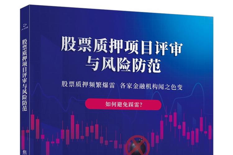 股票质押项目审核风险图标