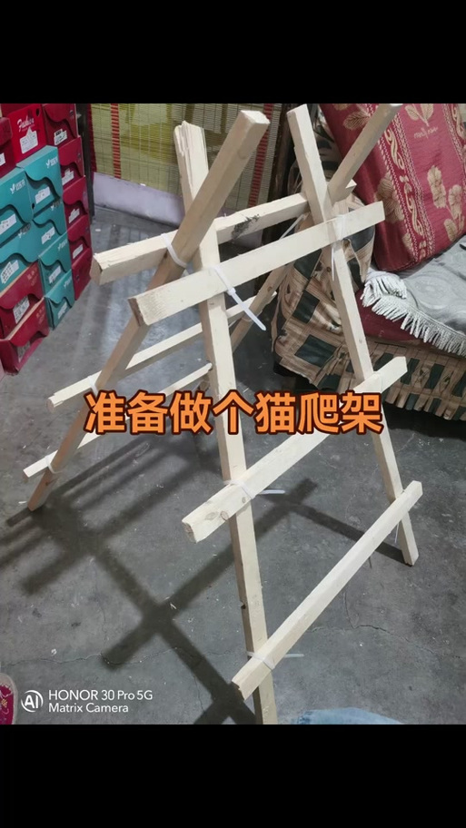 自制猫梯子