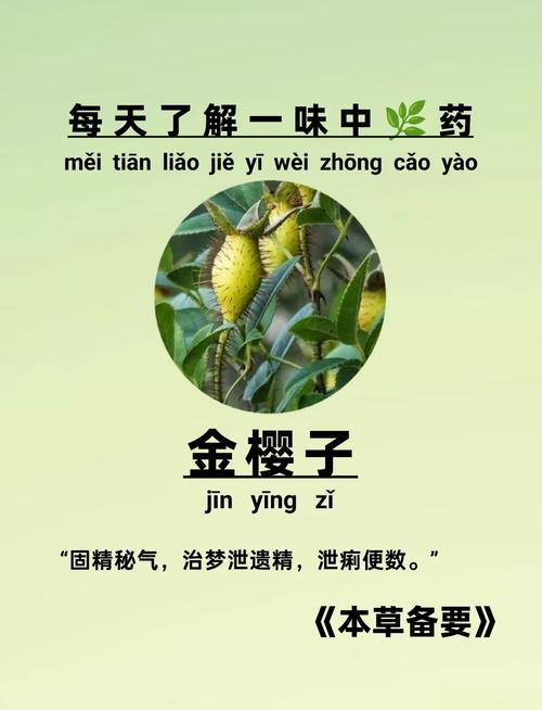 金窝窝是合法的么图标