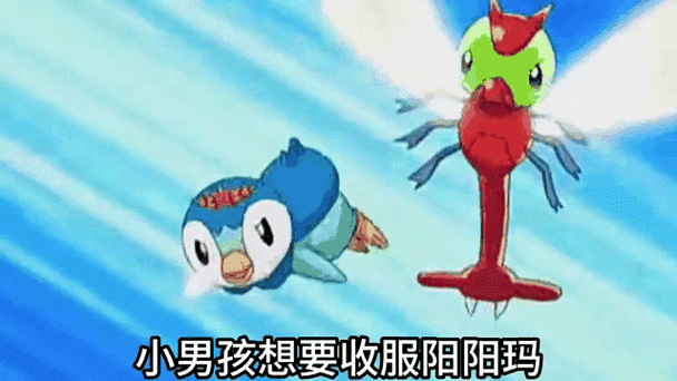 阳阳玛多少级进化