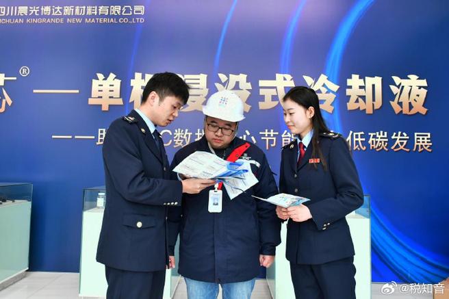 2026年无法登录电子税务局