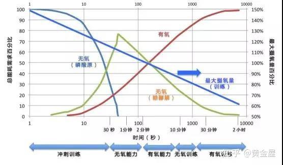 无氧运动10大忌