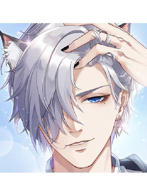 猫之宿约者