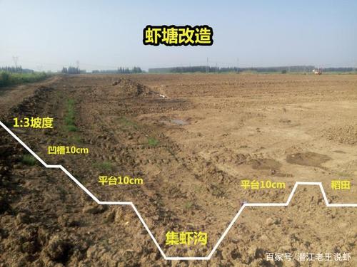 小龙虾养殖池塘怎么建缩略图
