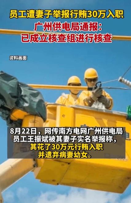 举报电力3个电话截图