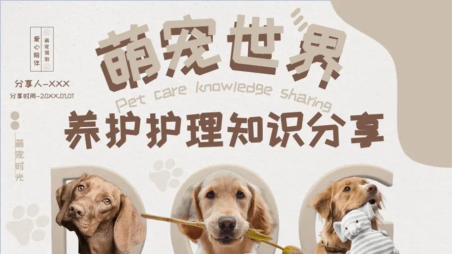 宠物养护知识