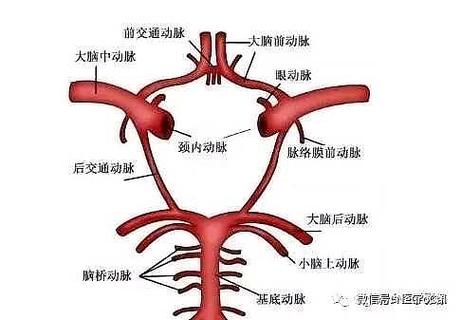 第16环27环有必要交变异吗