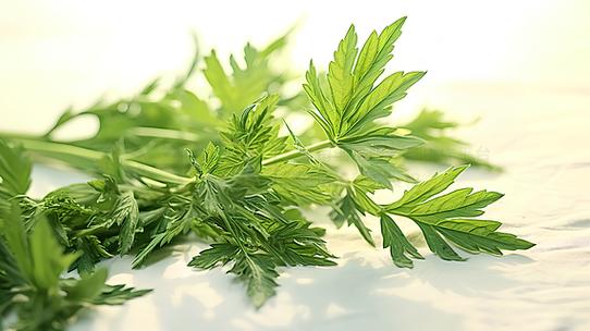 刚拔的艾草怎么存放截图