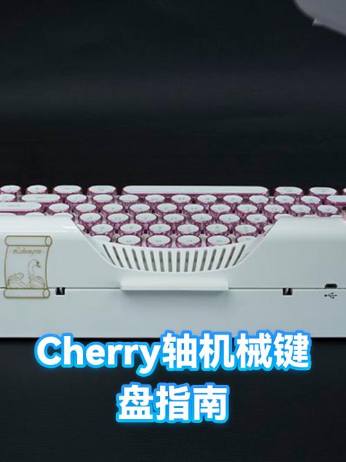 机械键盘什么轴使用寿命最长截图